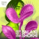 Bala Ki Shokhi Single