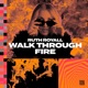 Walk Through Fire Extended Mix Single