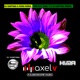 Fine Day Axel V DJ Santana Remix Single