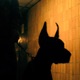 Doberman Single