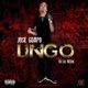 Lingo No Dj