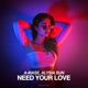 Need Your Love feat Alysia Sun Single