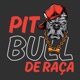 Pitbull de Raça Remix Single