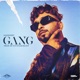 Gang Single