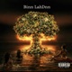Binn Lahdnn Single
