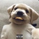 Sendmetothemorgue Single