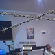 Dubane flow freestyle Single