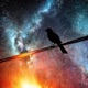 Bird On a Wire Single