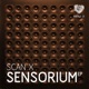 Sensorium Single