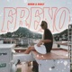 freno Single