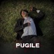 Pugile Single