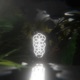 The Way Of The Jungle Single