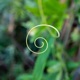 528 Hz Solfeggio Healing Single