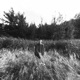 Тем теплом Speed Up Slowed Single