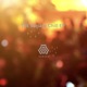 The Electro Chill EP