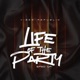 Life of the Party sped up Single