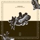 Better Way Remixes Single