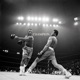 CHAMPION26 Single