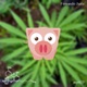 Thc Single