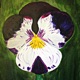 Blossom Single