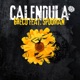 Calendula feat Spooman Video Version Single