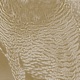 The Peregrine