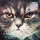 Kicks Cats Hi Hats Single