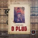 D Plug