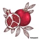Pomegranate Single