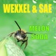 Melon Soda Single