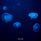 Deep Blue Single