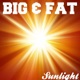 Sunlight Single