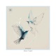 Wings Single