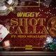Shot Calla feat Sho Shallow Single