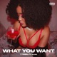 What You Want feat Scottie Remix Single