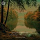 Luminous Tranquility Single