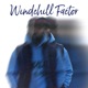 Windchill Factor Single