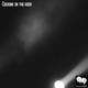 Cocaine In the Roof Single