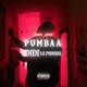PUMBAA Single