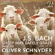 Bach Cantata BWV 208 IX Sheep May Safely Graze Arr For Piano by Egon Petri Live Recording Zürich 2012 Single