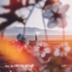 Free Fall Into Life Single
