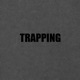 Trapping feat Stonzy Bandylyt Lil Bhad Pascal Single