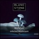 Infected Mushroom Single