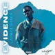 Evidence Ultimate Search Single