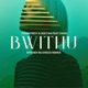 Bwithu Effendi Nu Disco Mix Single