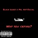 Why You Crying feat Mr AntiSocial EP