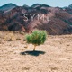 In My Body EP