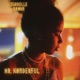 Mr Wonderful Single