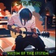 Victim of the System Single