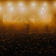 ДЖАНГЛ LIVE